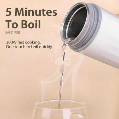 Iona 0.5L Travel Kettle | Stainless Steel 6 Pre-Set Temperature